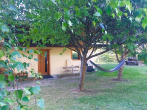 Studio en lisière de forêt